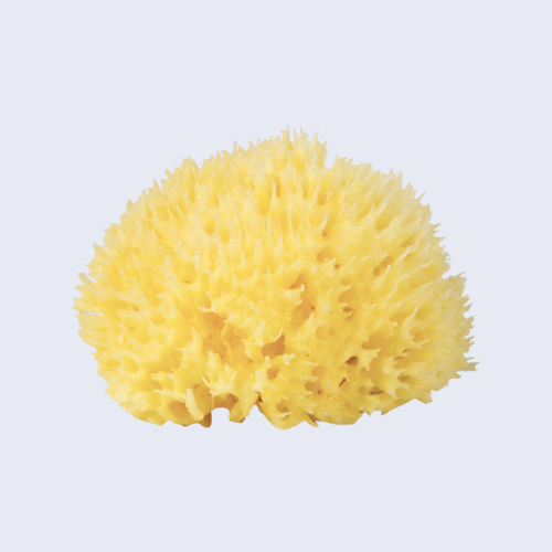 Honeycomb Sponge Bleached